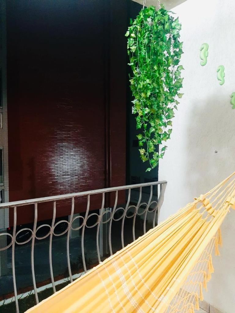 Apto Amplo, Confortavel, Bem Localizado, Asturias Guarujá Eksteriør bilde